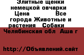 Элитные щенки немецкой овчарки › Цена ­ 30 000 - Все города Животные и растения » Собаки   . Челябинская обл.,Аша г.